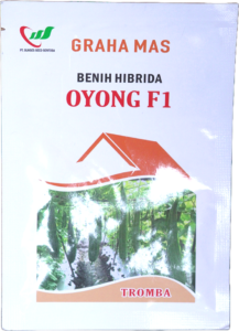 BENIH HIBRIDA OYONG F1