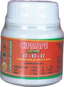 CIPMAPE GRANDE 17-17-17