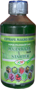 PPC MAHARAJA STARTER
