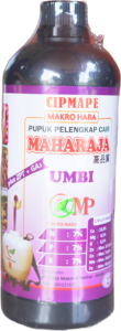 PPC MAHARAJA UMBI BENING