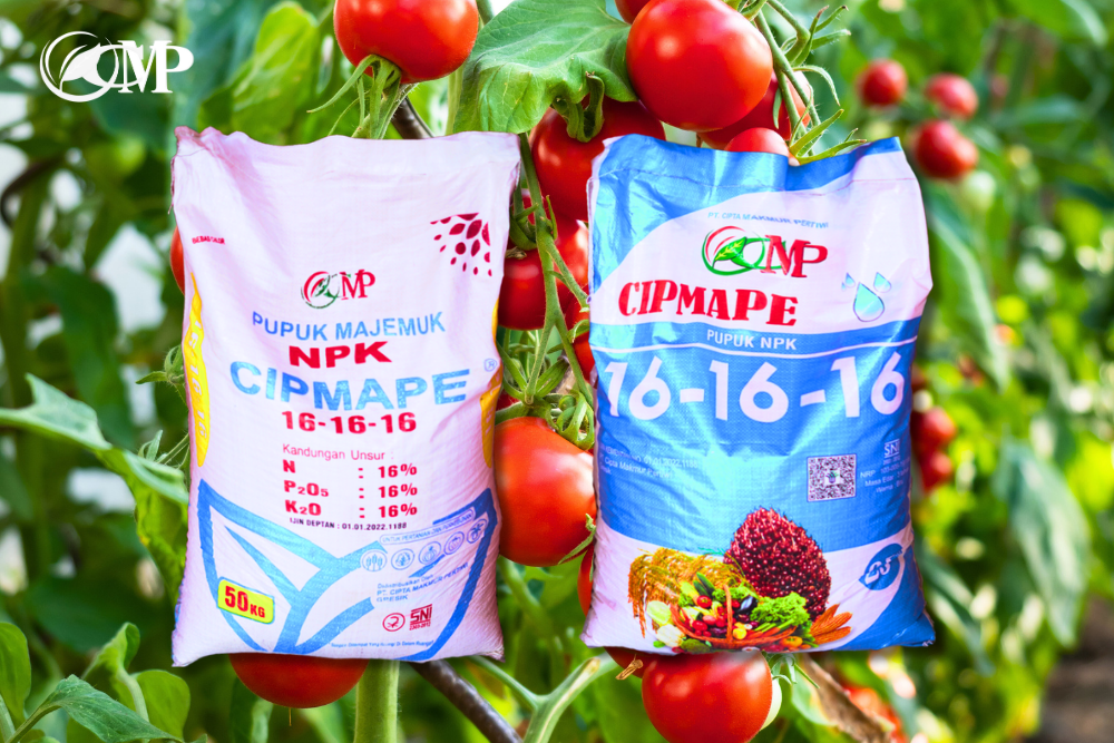 You are currently viewing Cipmape 16-16-16, Pupuk NPK Kombinasi untuk Pertumbuhan Tanaman yang Sehat dan Ideal
