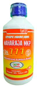 MAHARAJA MKP 7777