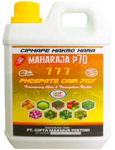 MAHARAJA P70 777