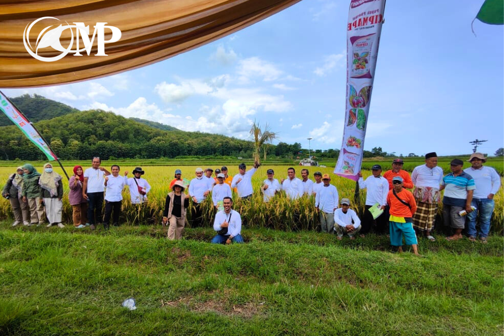 You are currently viewing Berkolaborasi untuk Pertanian Unggul: Temu Tani PT CMP Bersama UD Makmur Sejahtera di Desa Wuluhan, Jember 