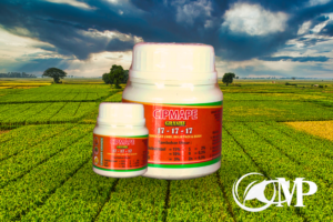 Read more about the article ZPT Cipmape Grande, Solusi Unggul Pembesar Umbi, Bulir Padi & Buah