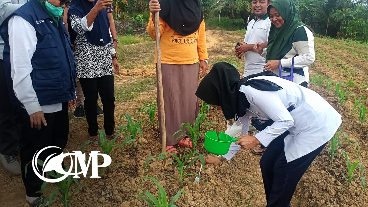 Dosis pupuk yang tepat untuk mendukung pertumbuhan tanaman secara optimal